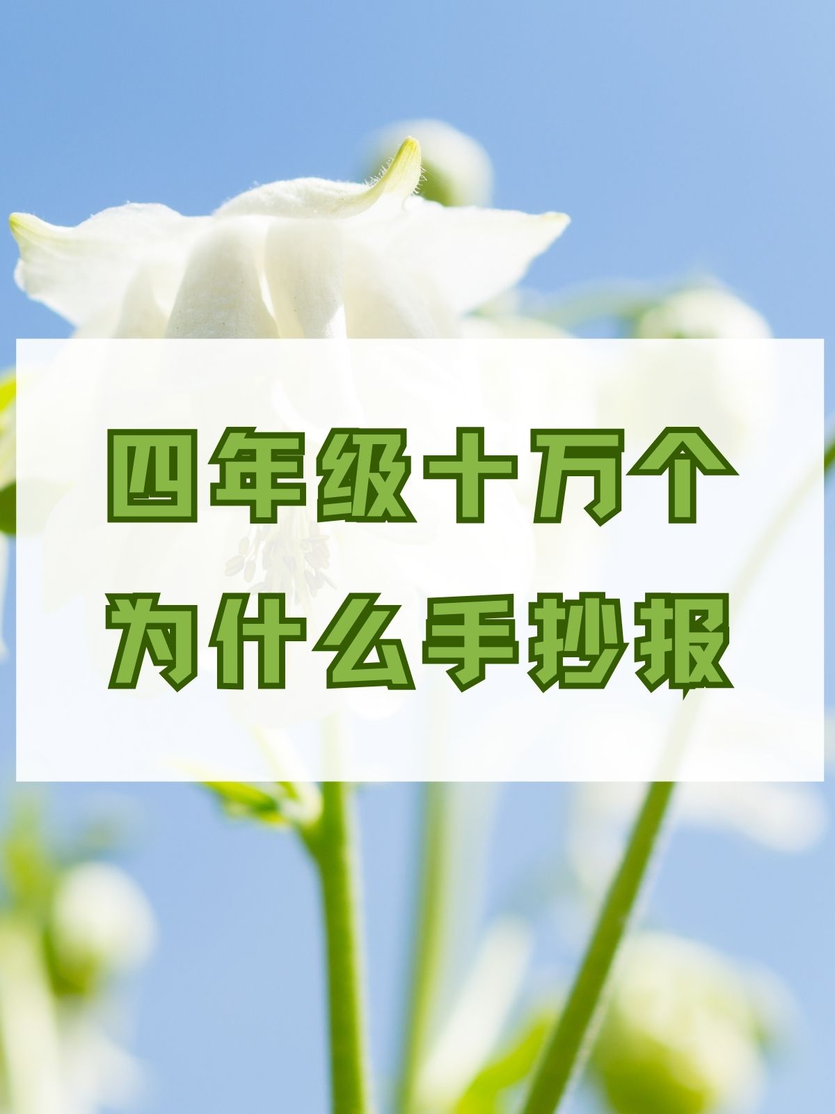 四年级十万个为什么手抄报