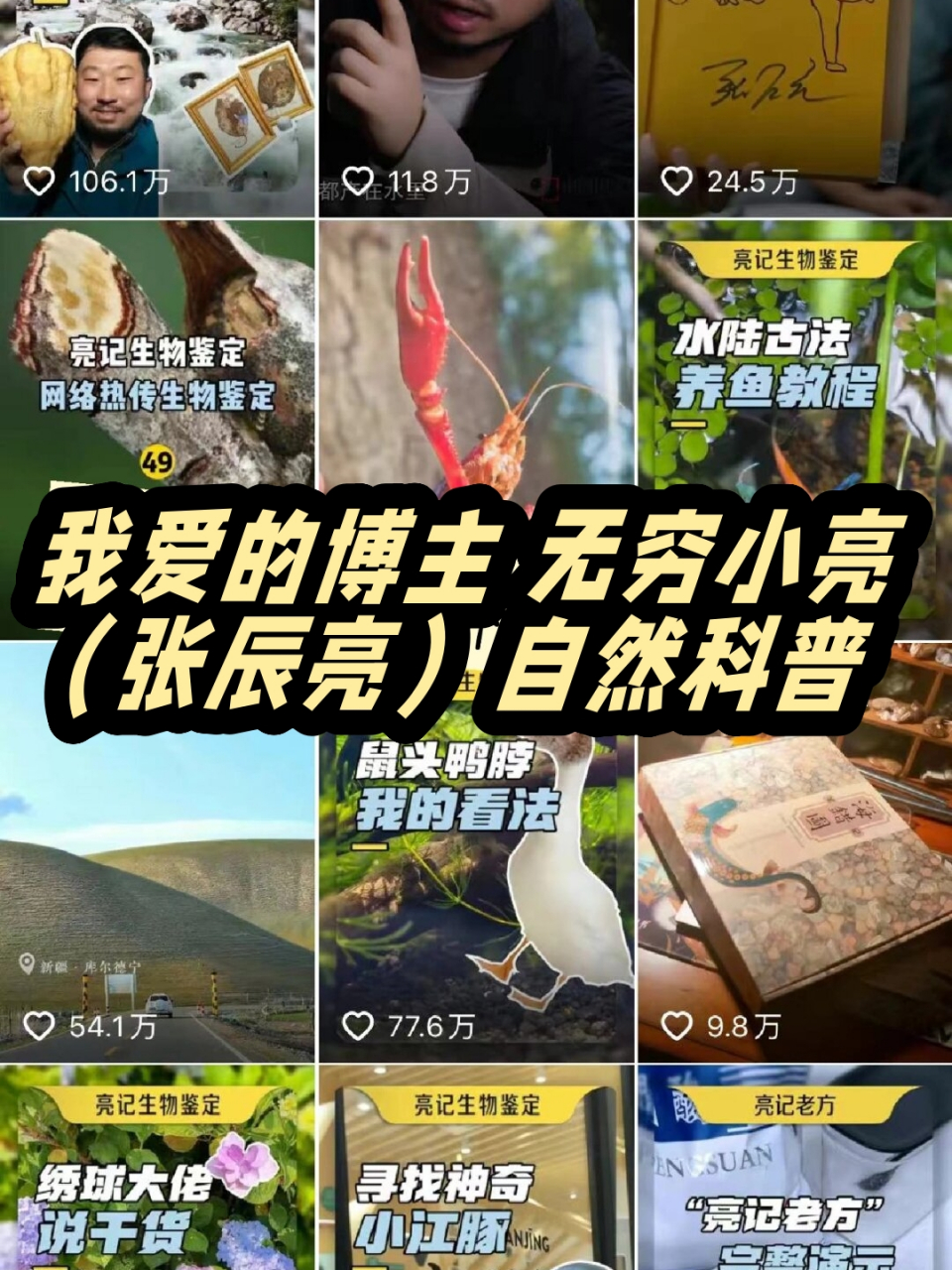 我爱的博主 无穷小亮(张辰亮)自然科普  91 张辰亮,一个热爱自然