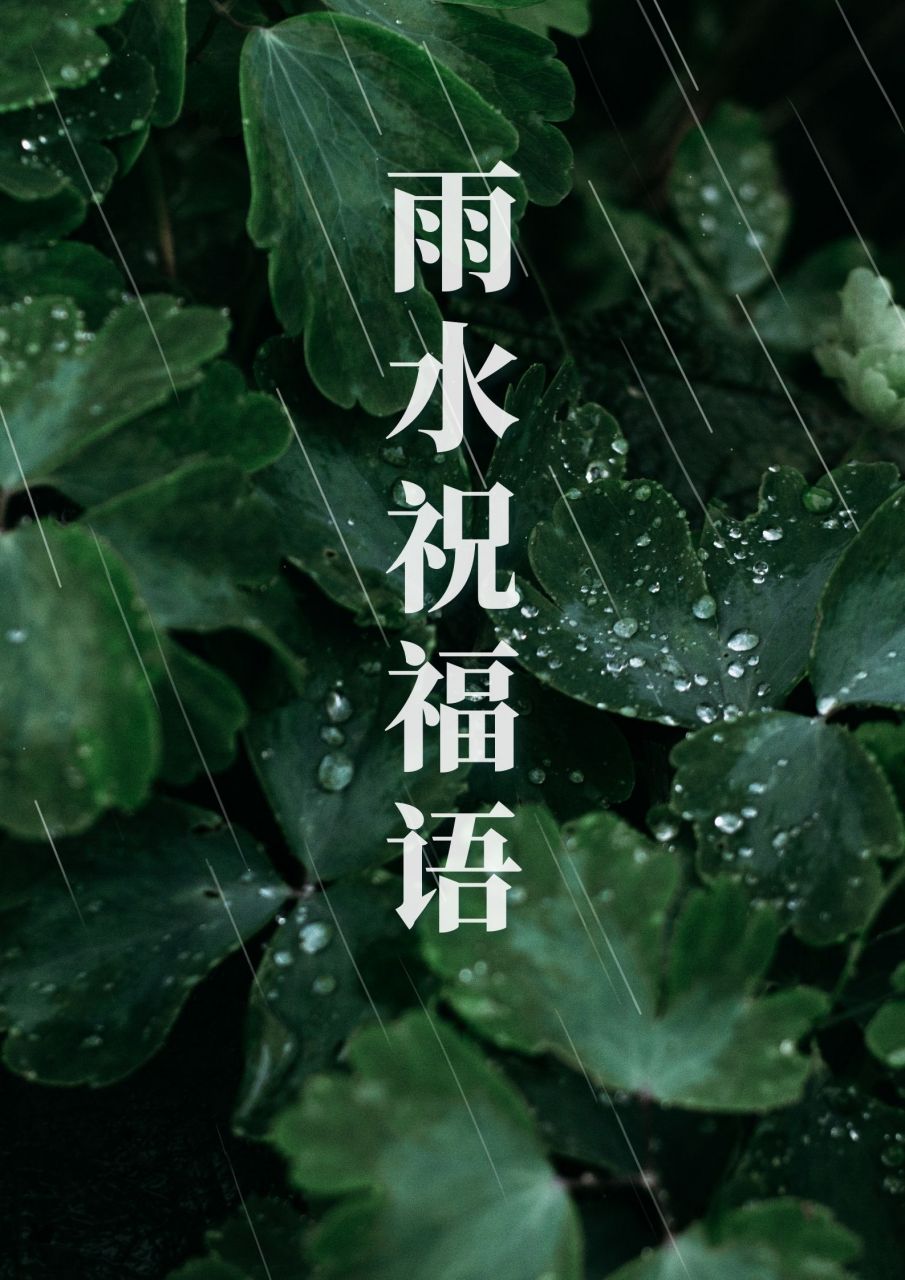 雨水节气祝福语图片图片