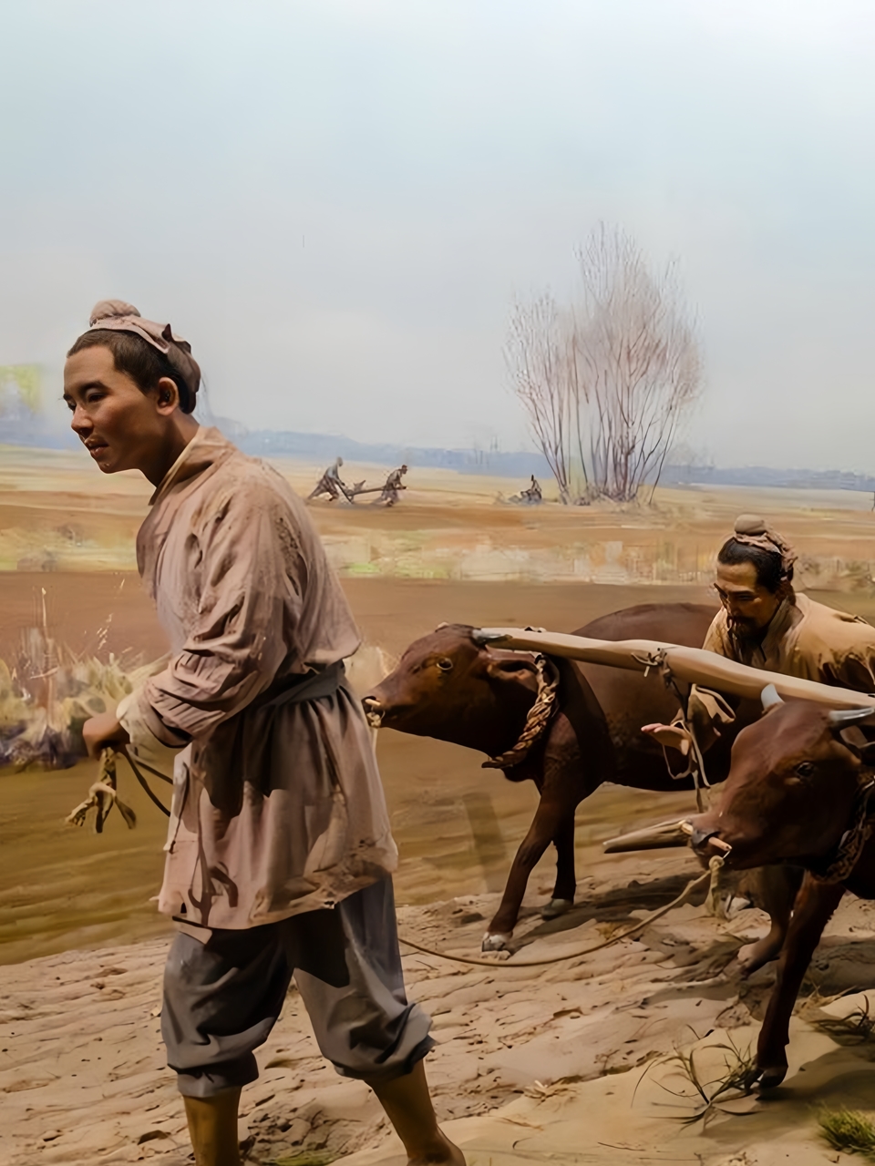 你知道古代农民是怎么过日子的吗? .@盛历史的动态