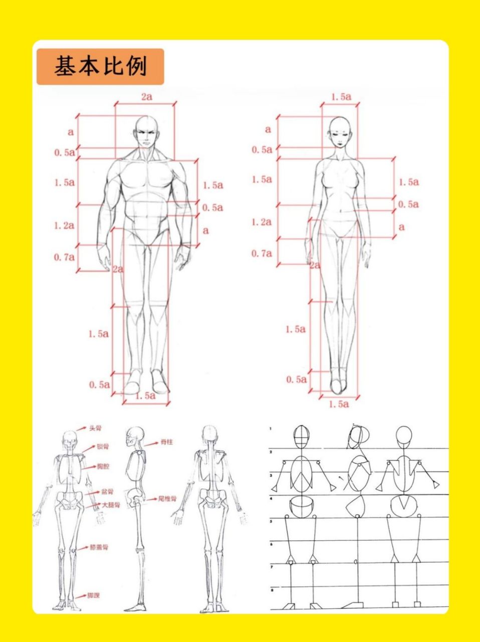 5头身比例真的是画人体的黄金比例,简直美到cry!