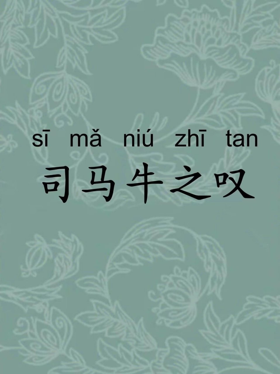 司马牛之叹:一个关于孤独和友谊的成语  这个成语背后有一个故事.