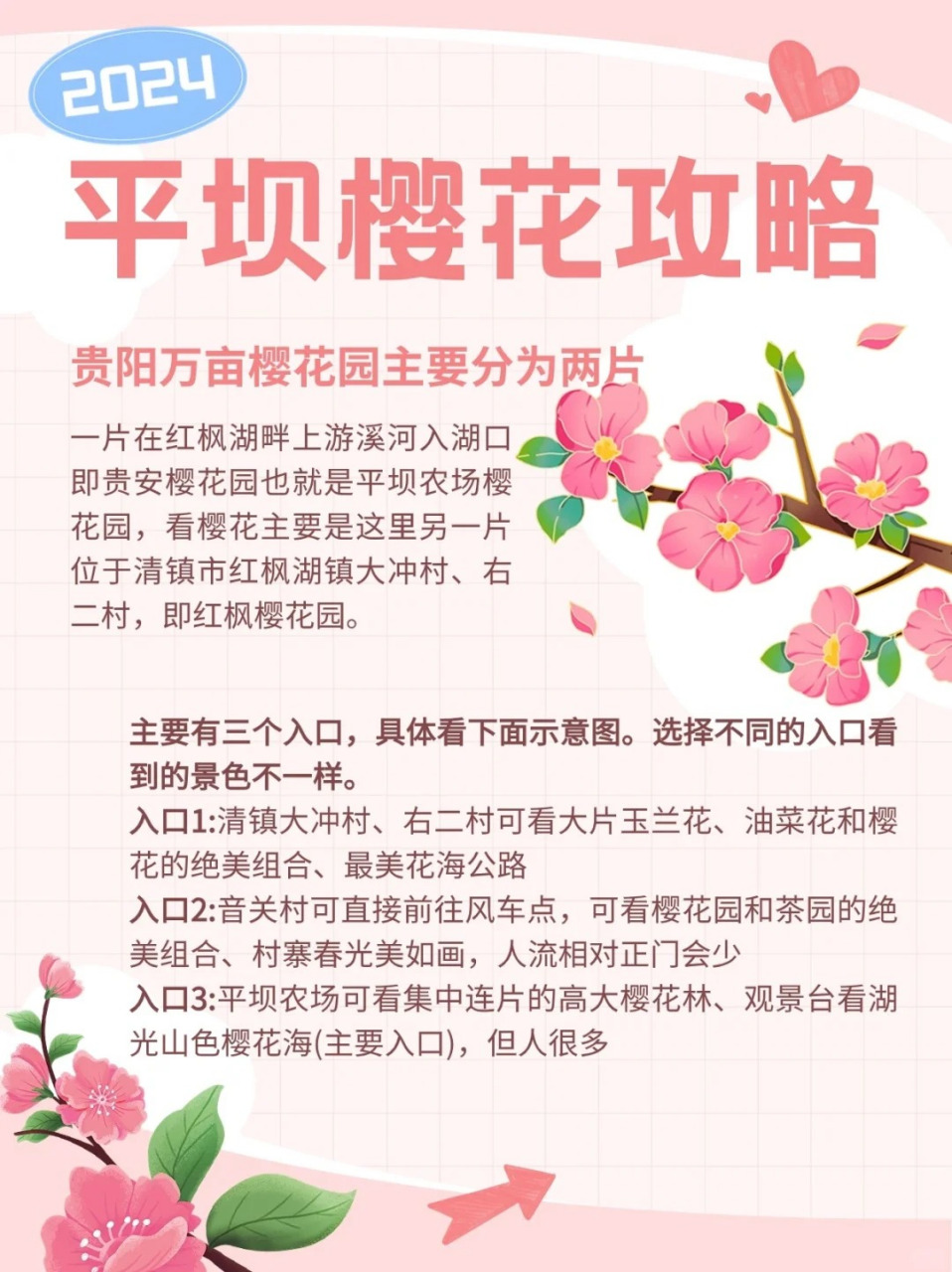 平坝樱花介绍图片