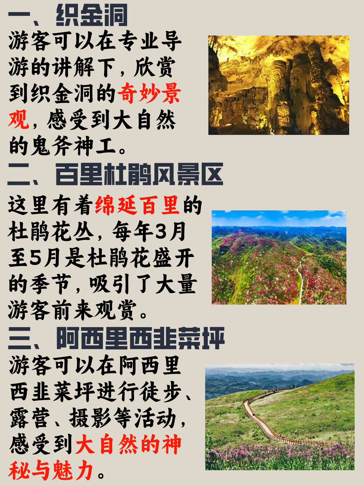 贵州毕节旅游景点攻略图片