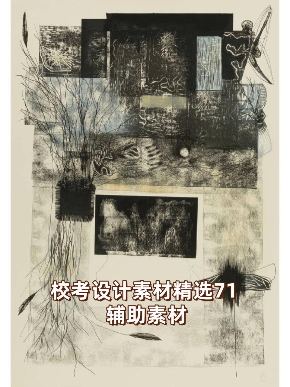 今天给大家带来一份精心挑选的校考设计素材,希望你们喜欢并能在校考