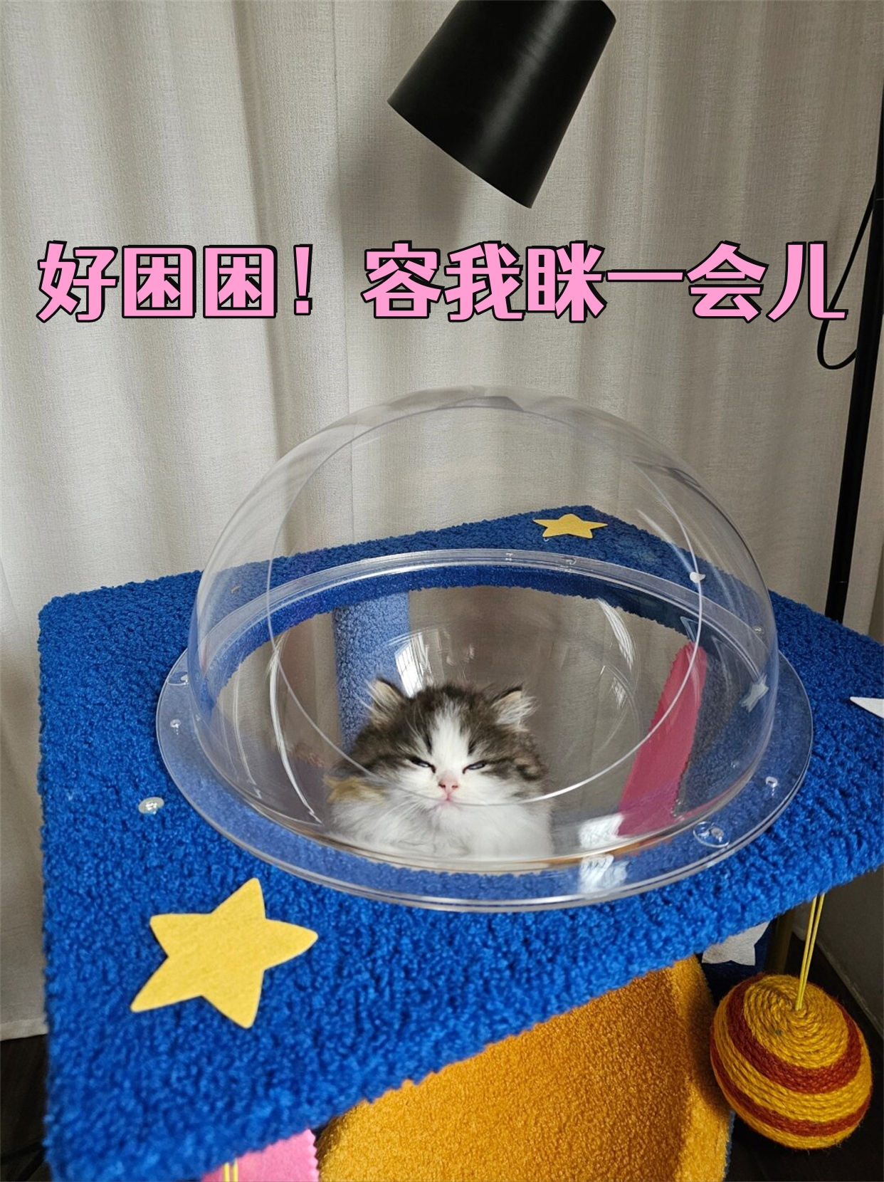 容我眯一会儿