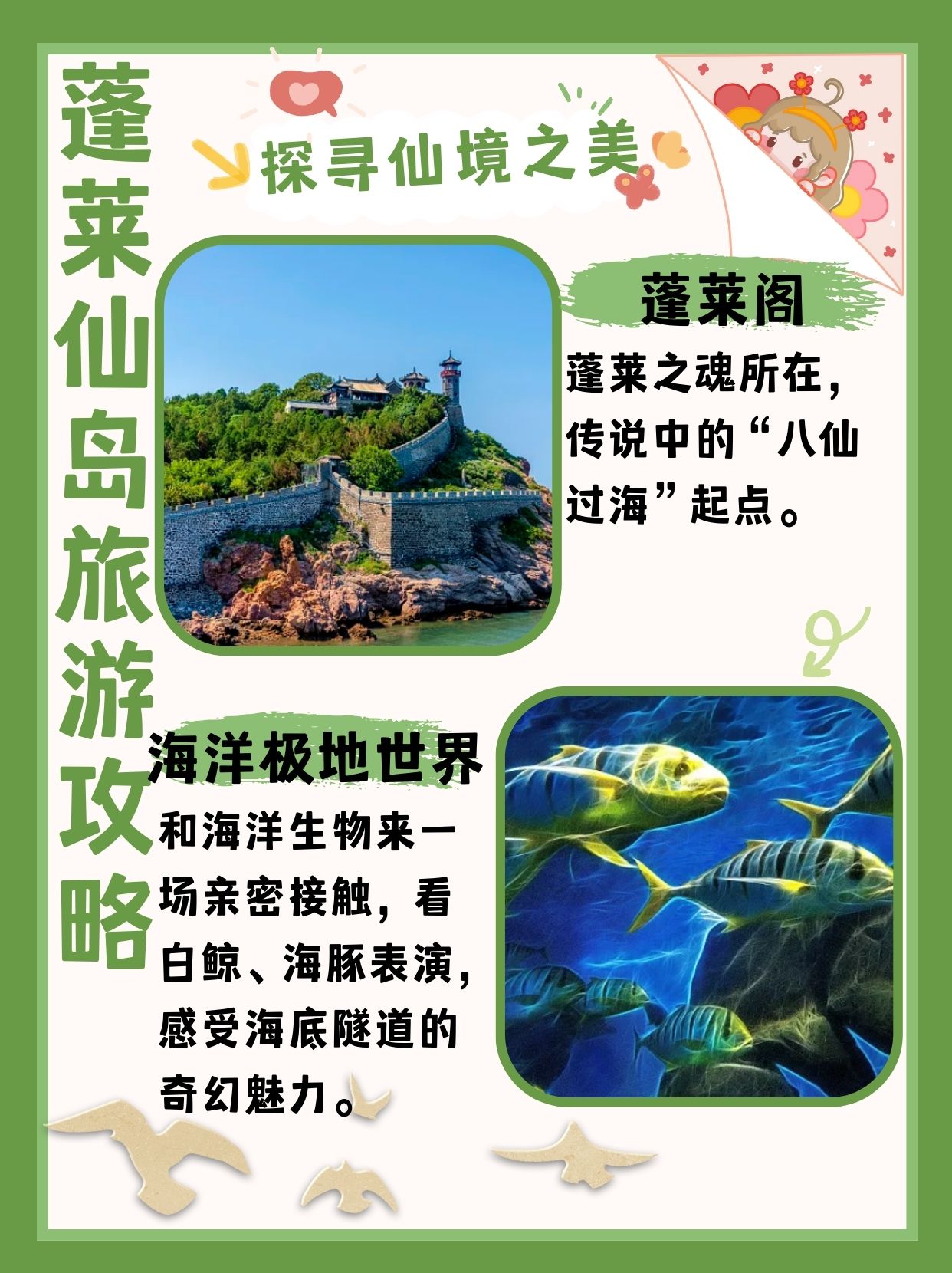 蓬莱仙岛旅游攻略 96第一次踏.@亦然爱旅游的动态