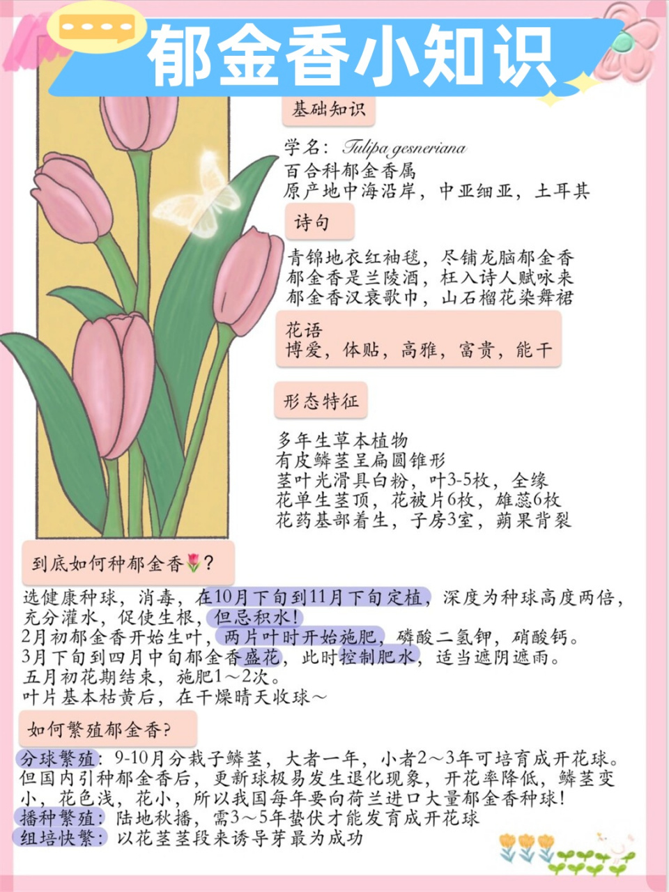 郁金香雄蕊雌蕊图解图片