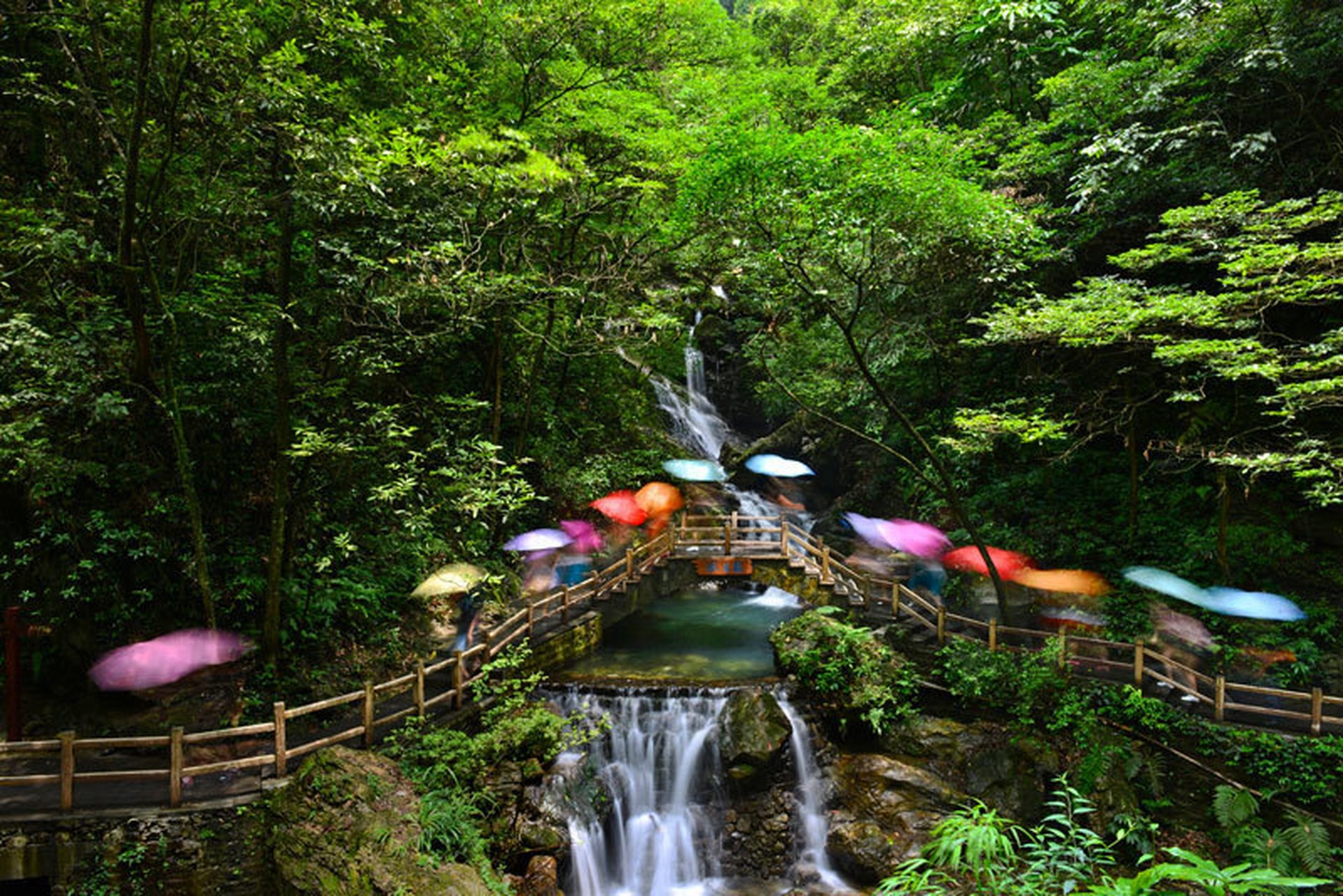 重庆黑山谷景区图片图片