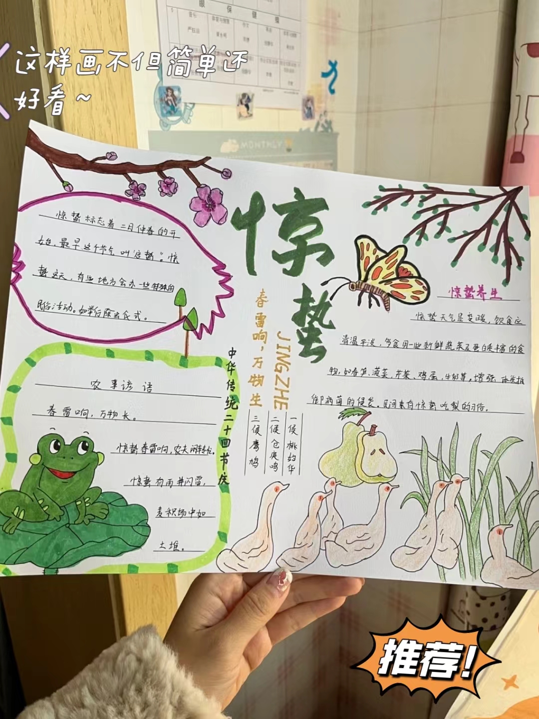 24节气手抄报简单好看 优秀作品