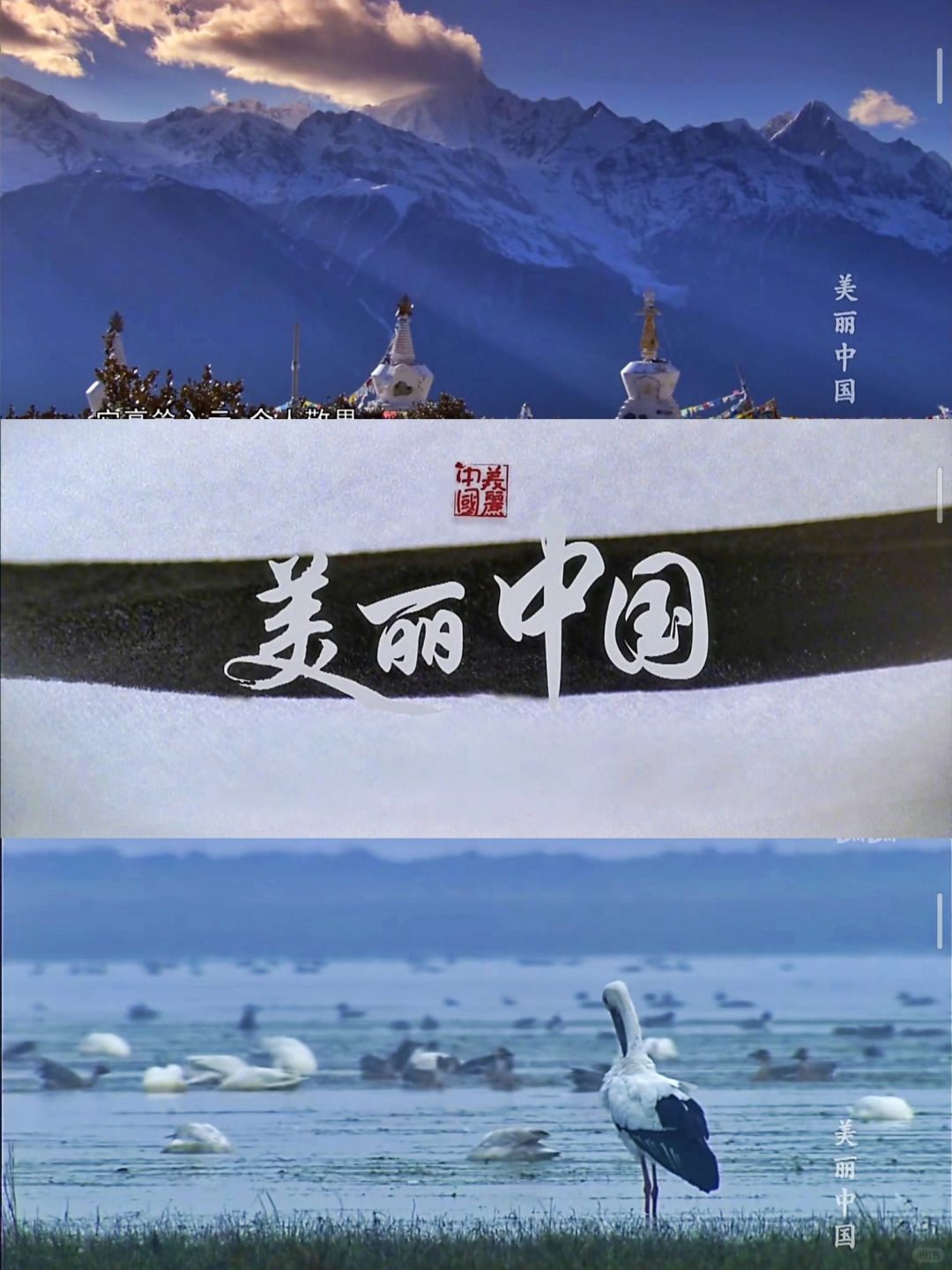 终于找到了一部让我心动不已的纪录片——《美丽中国》!