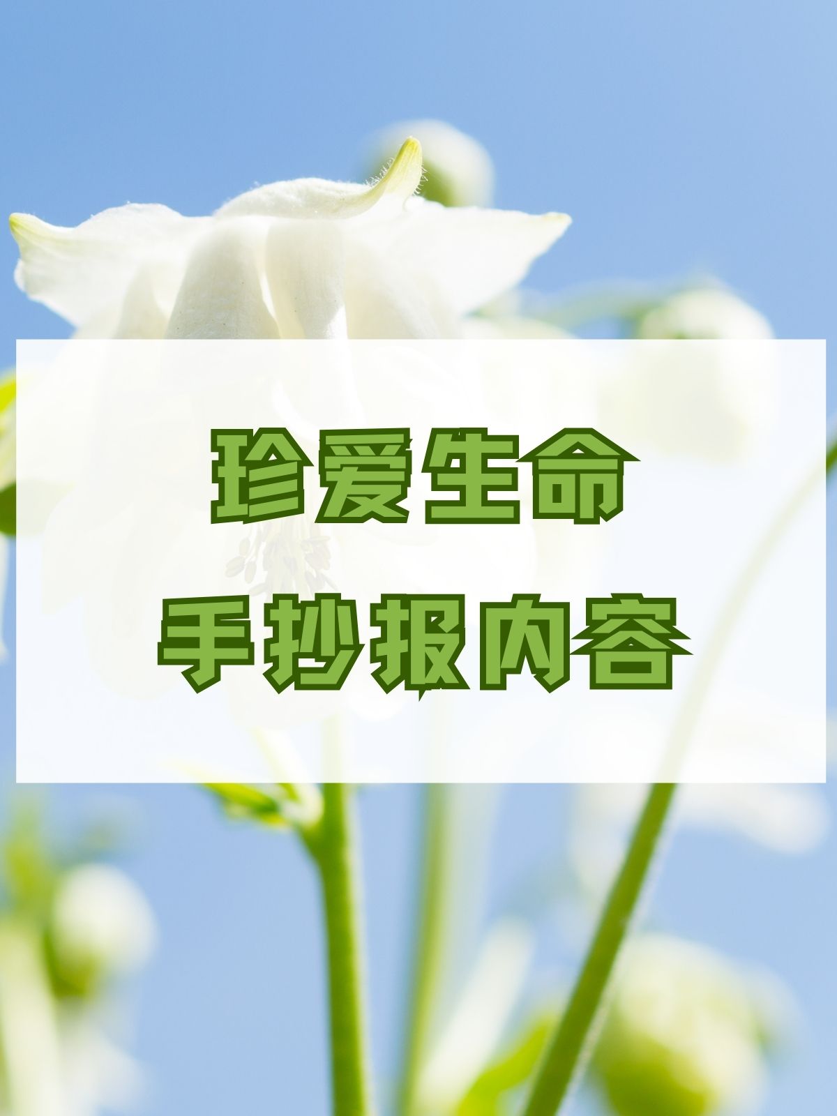 珍爱生命的海报图片