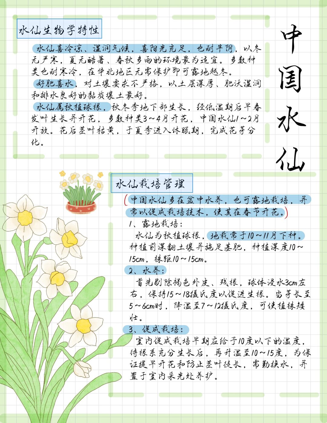 水仙花的介绍资料简单图片