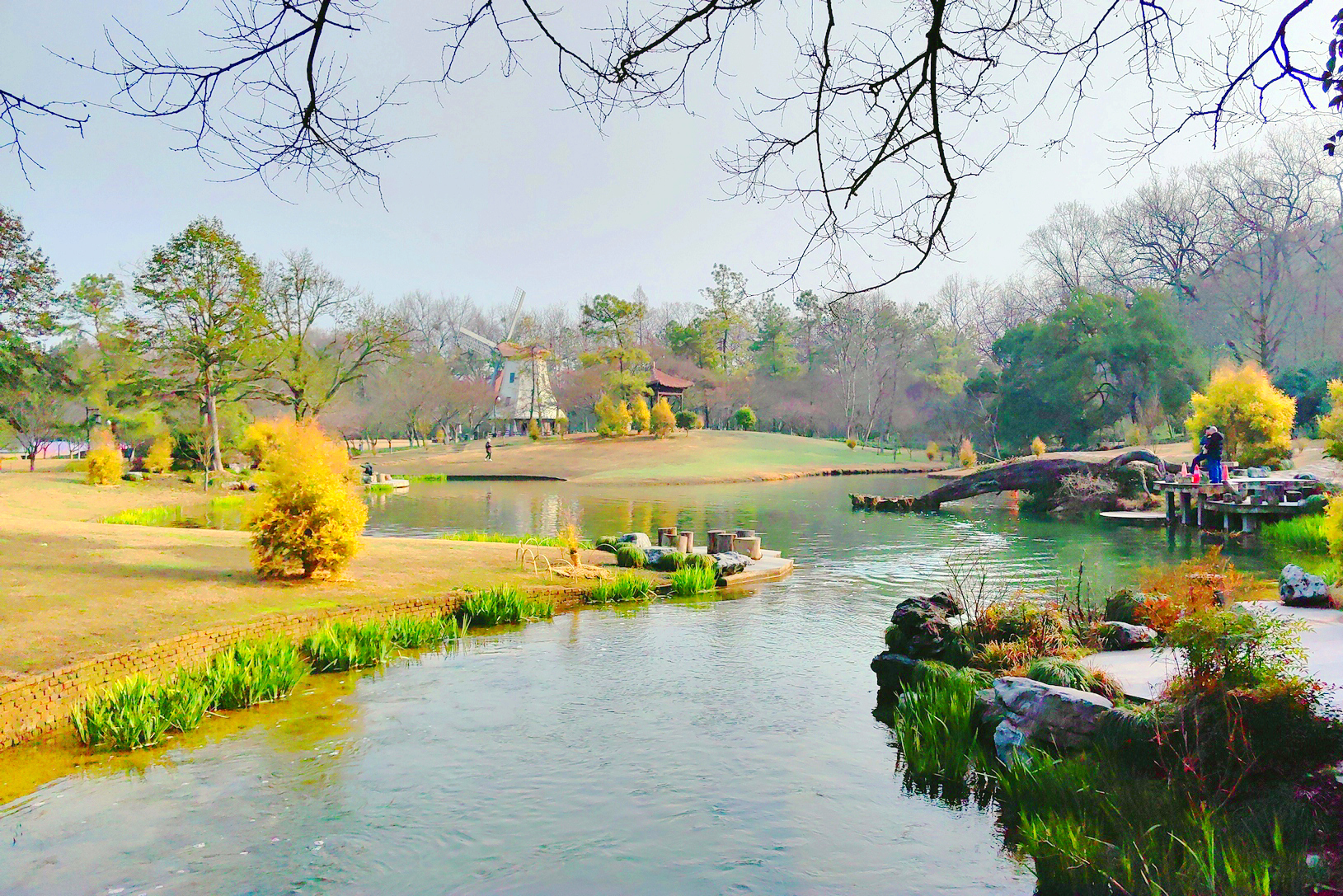 杭州太子湾公园景色图片