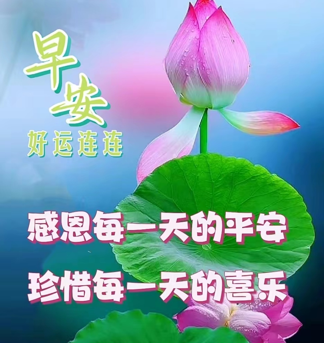 平淡是幸福 坦然是生活 愿我们天天都开心 事事都如意 健康快乐每一天