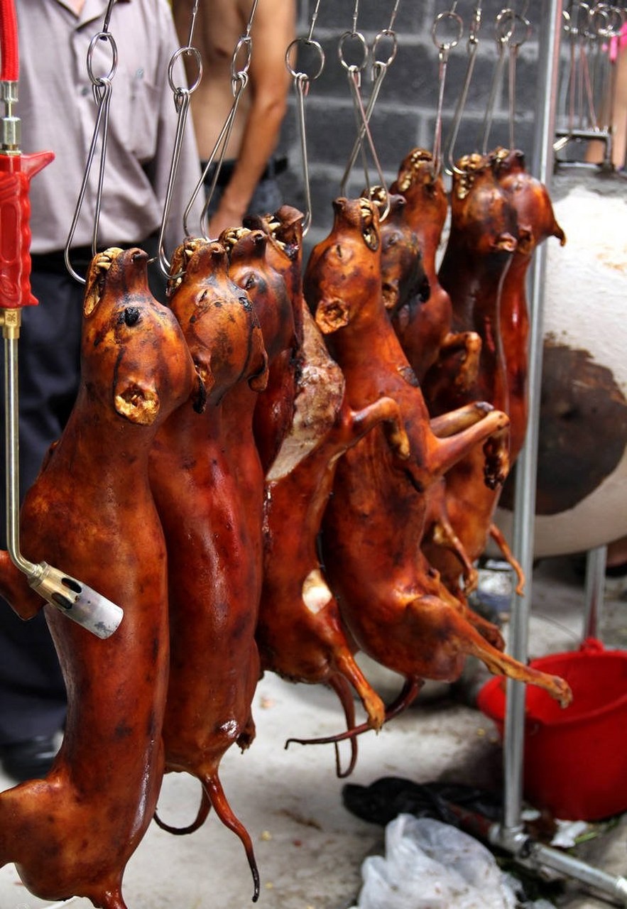 吃狗肉曾经是部分地区的传统习俗,尤其在岭南地区,夏至时节食用狗肉被