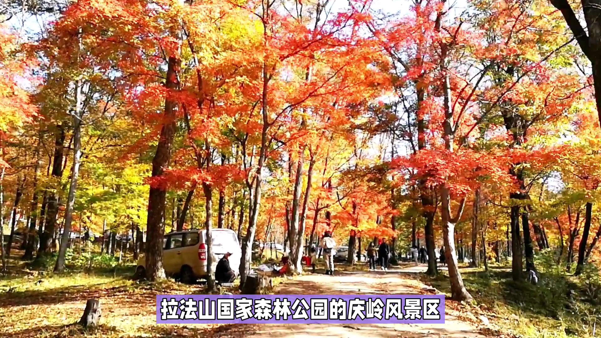 蛟河红叶谷风景介绍图片