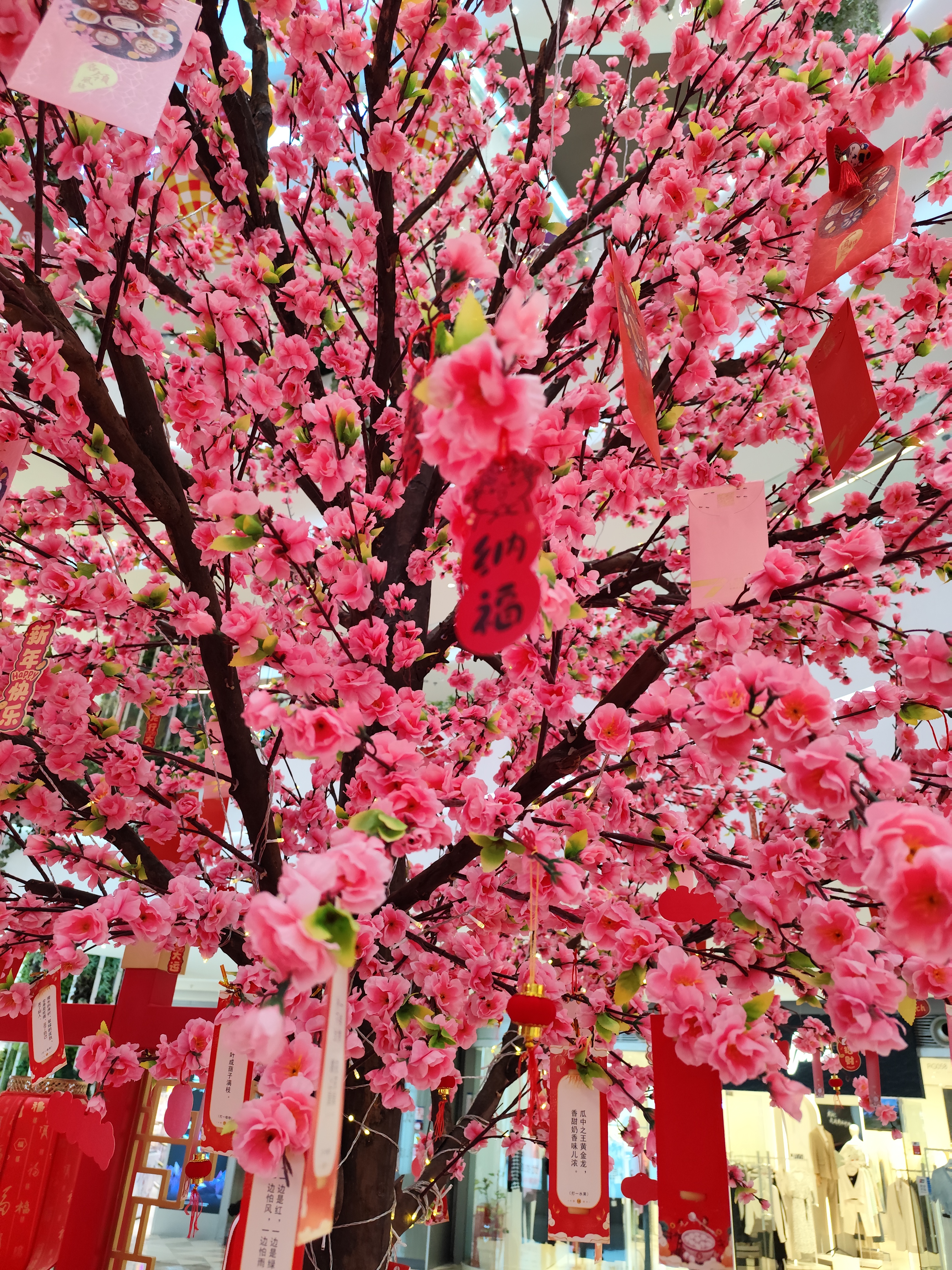 花朝节挂花祈福图片