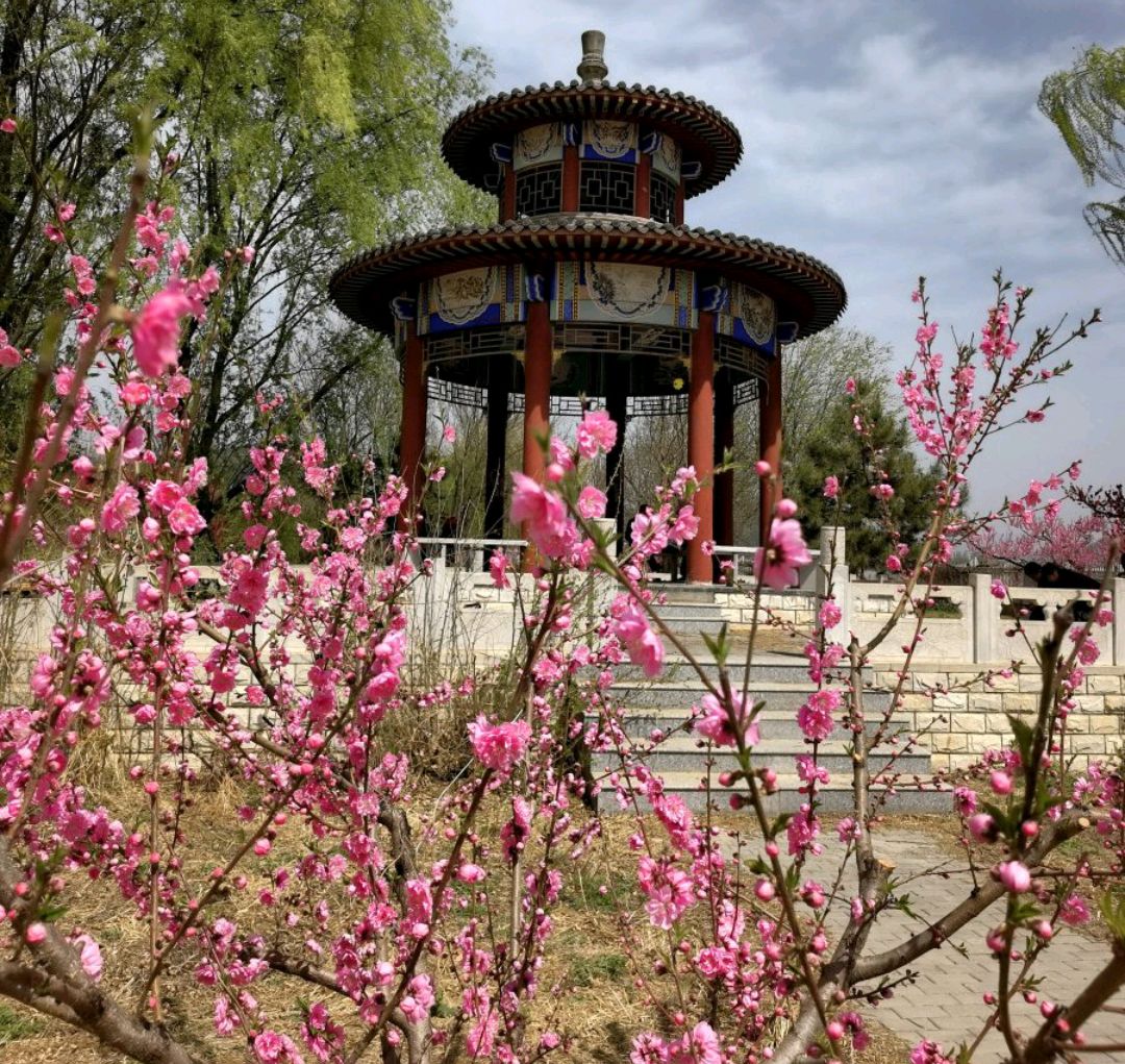 北京平谷桃花海图片图片