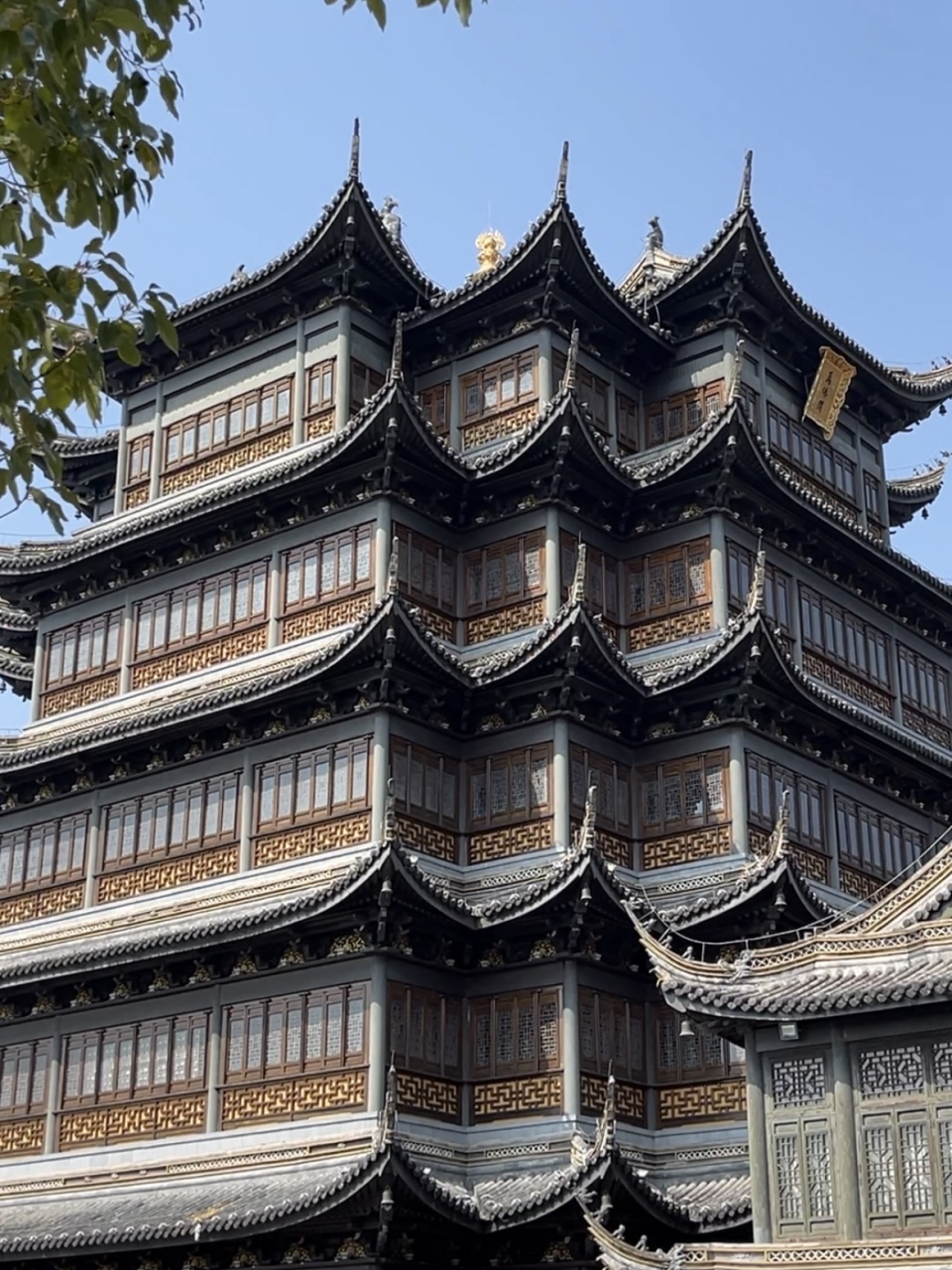 这里是位于青浦区东团村的庄严寺,它耸立在附近村子的菜地上,既庄严