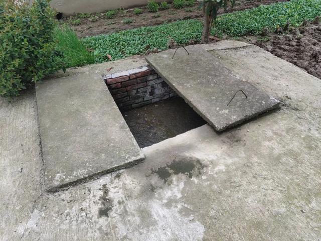 2013年,湖南做孕检却被婆婆塞进粪池的24岁儿媳,如今已离开11年了