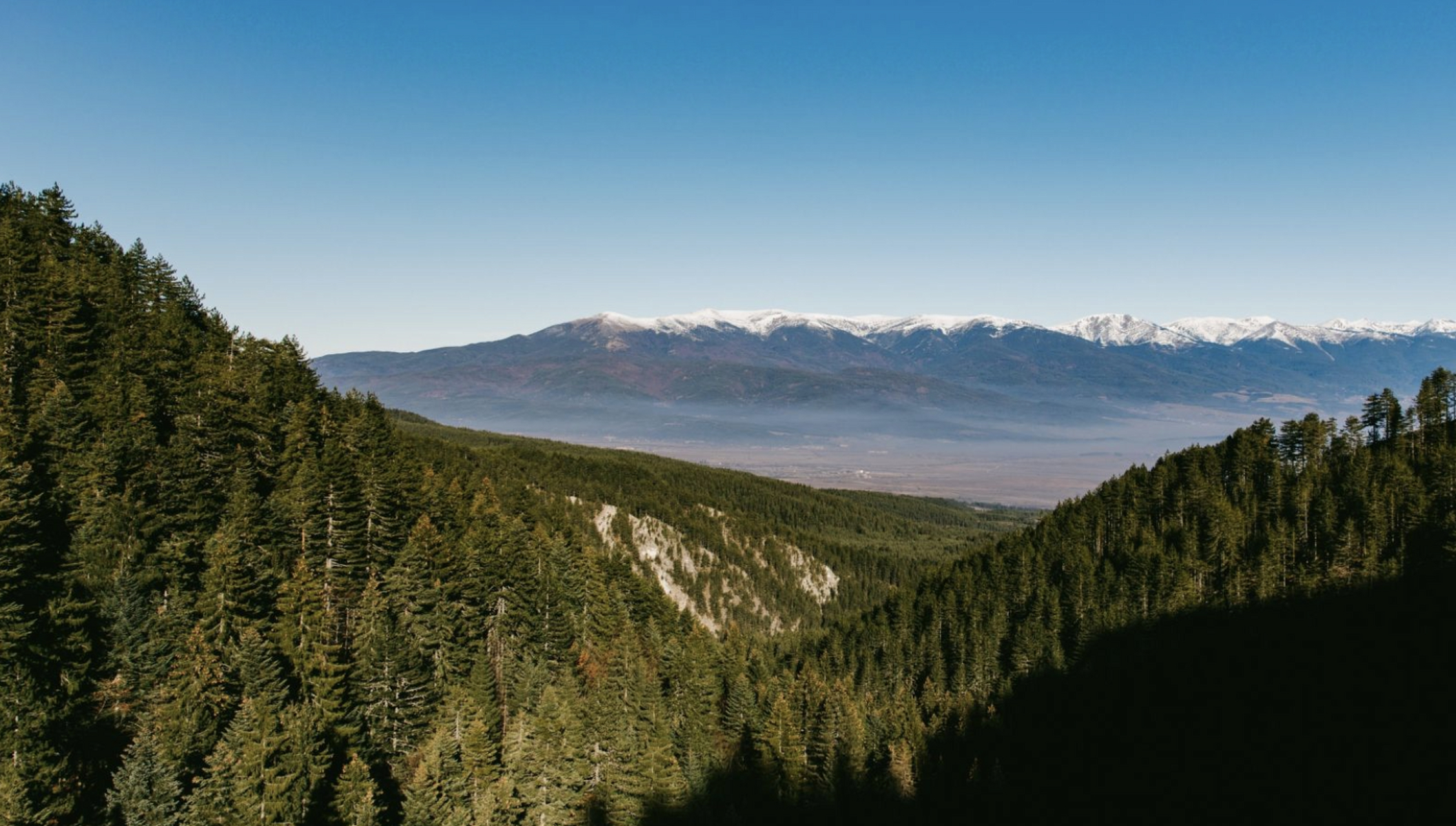 作息规律,坚持运动,提升认知是优化自己的关键.