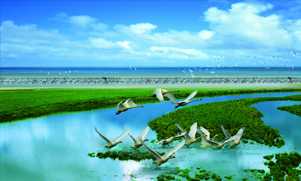 纪实:突破10米,鄱阳湖水大涨!到底是什么原因?大坝修建争议21年