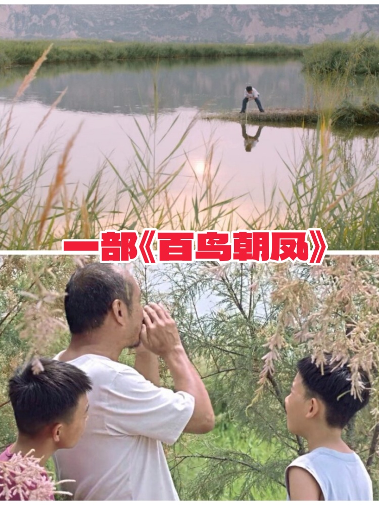 今天我要给你们推荐一部非常特别的电影,它的名字就叫《百鸟朝凤》