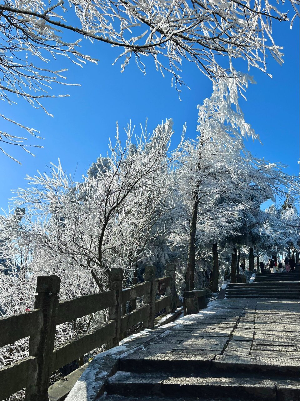 南岳雾凇奇观图片