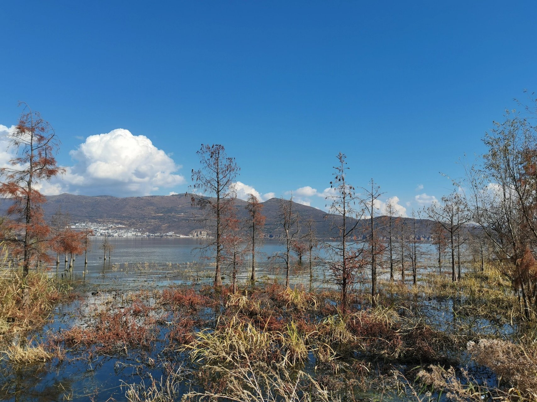 "人生是旷野"  我独自一人踏上了大理海西的旅途,这是一场与自己的