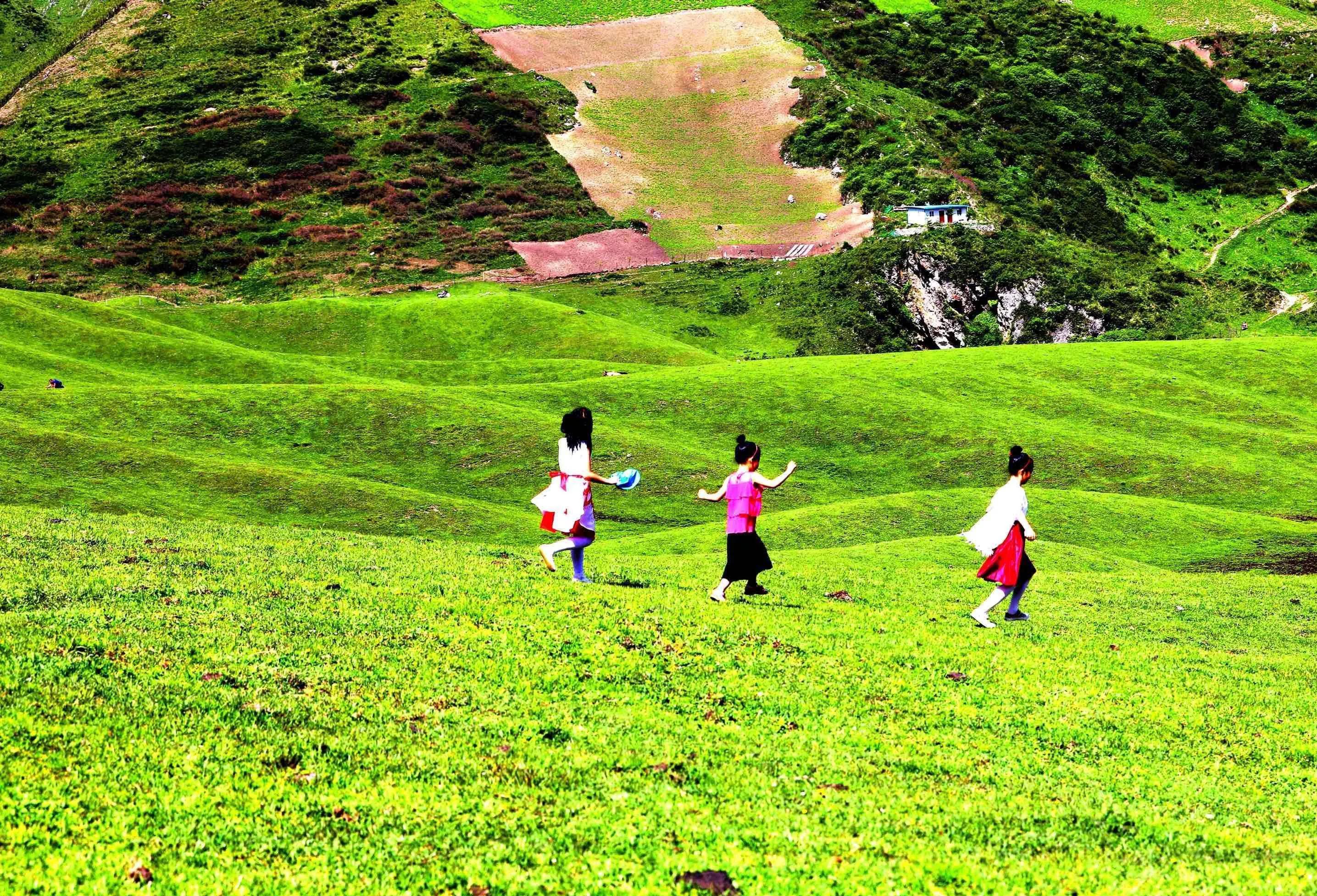 千坝草原,位于甘肃省陇南市武都区白龙江南岸盘山公路25公里处,海拔