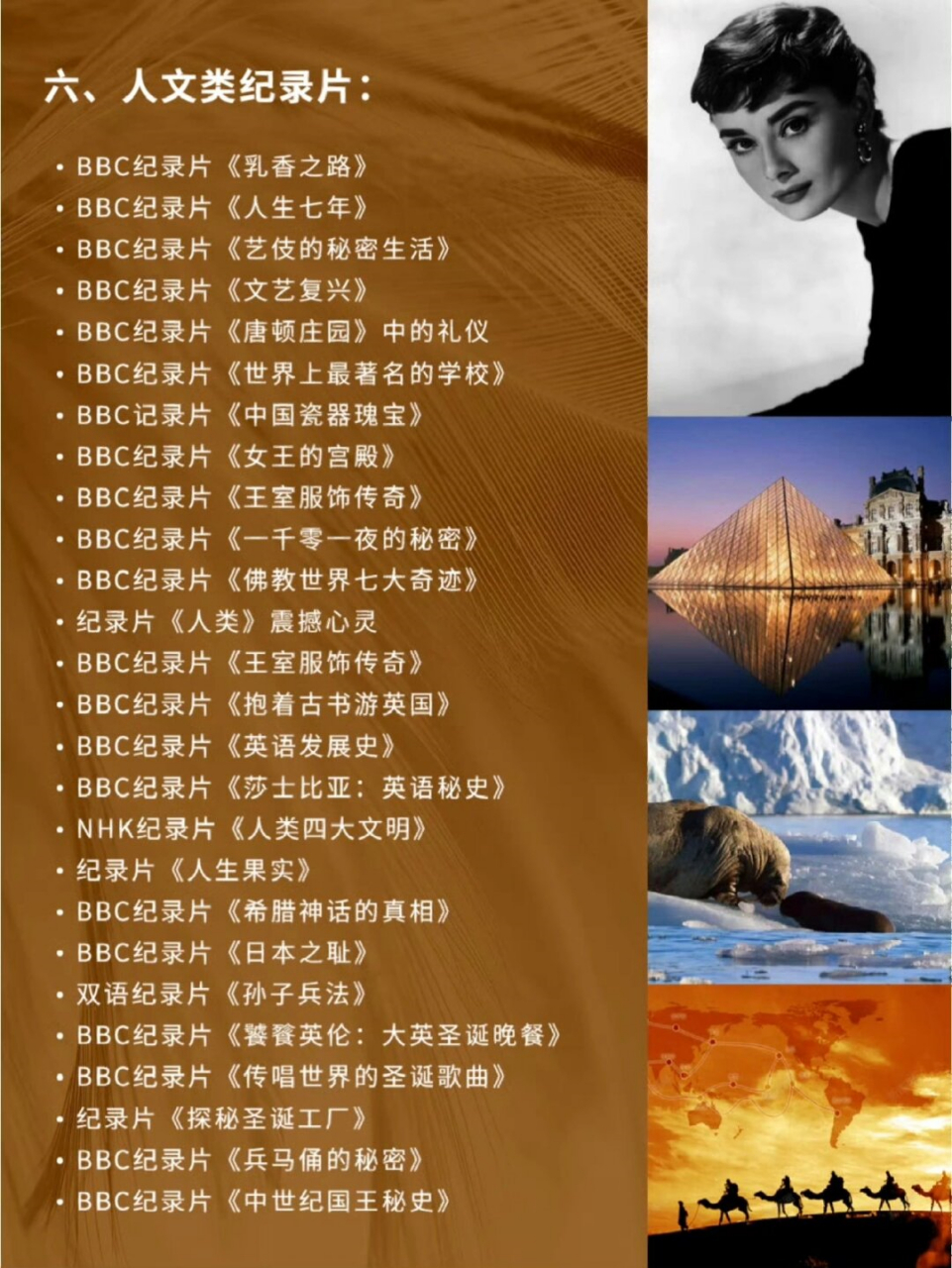 英国bbc纪录片大全图片