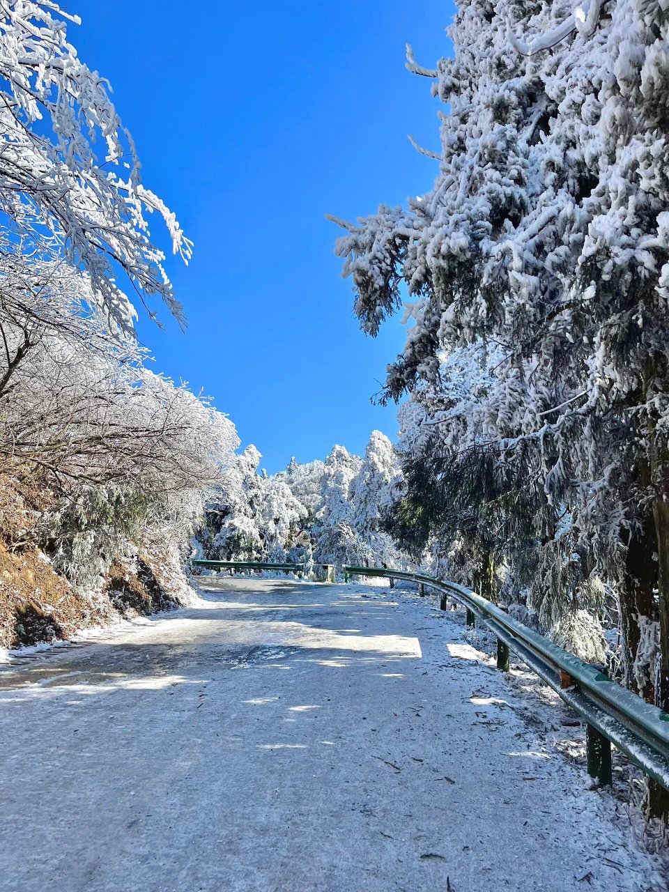 冰雪仙境的奇幻之旅  今天我要和你们分享我在南岳衡山的雾凇之旅.