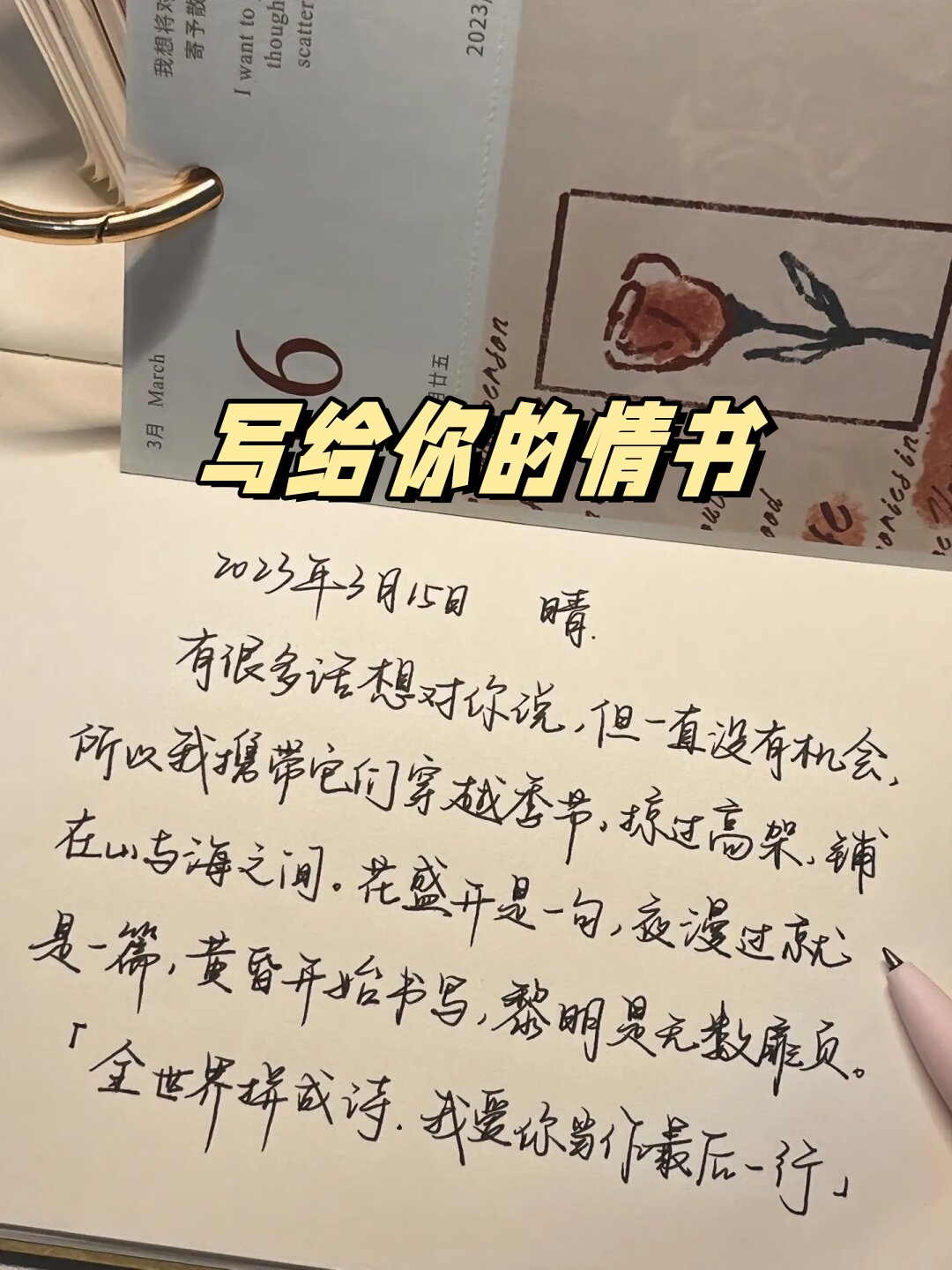 在这个数字化时代,写信似乎已经成为了一种小众的爱好
