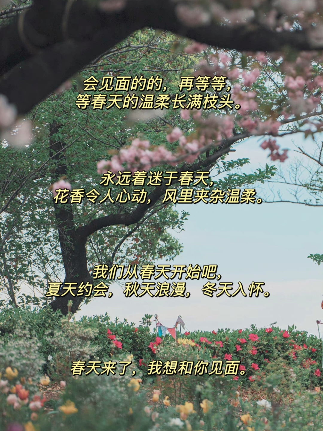 赏花发朋友圈句子