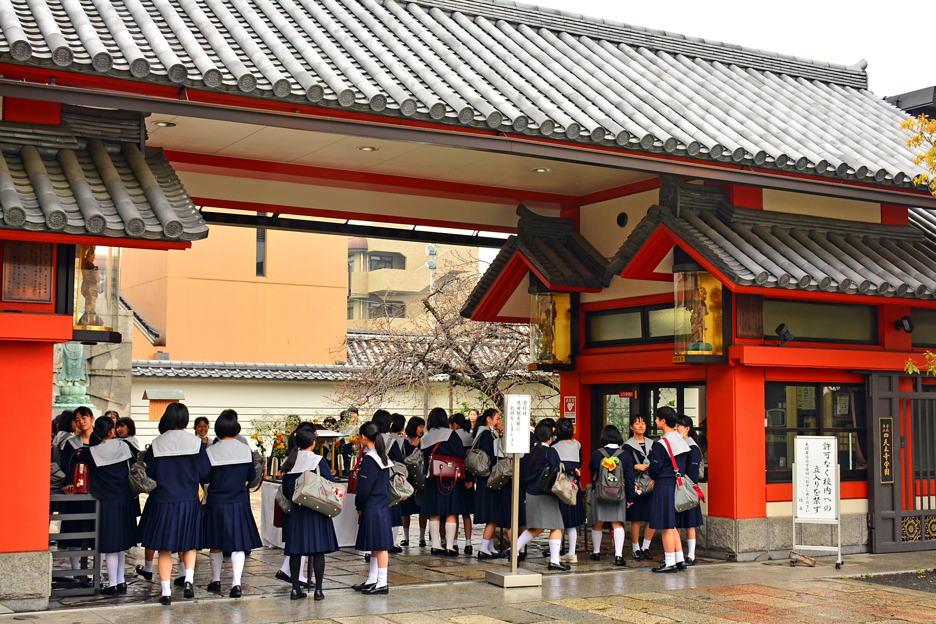 日本初中留学学校