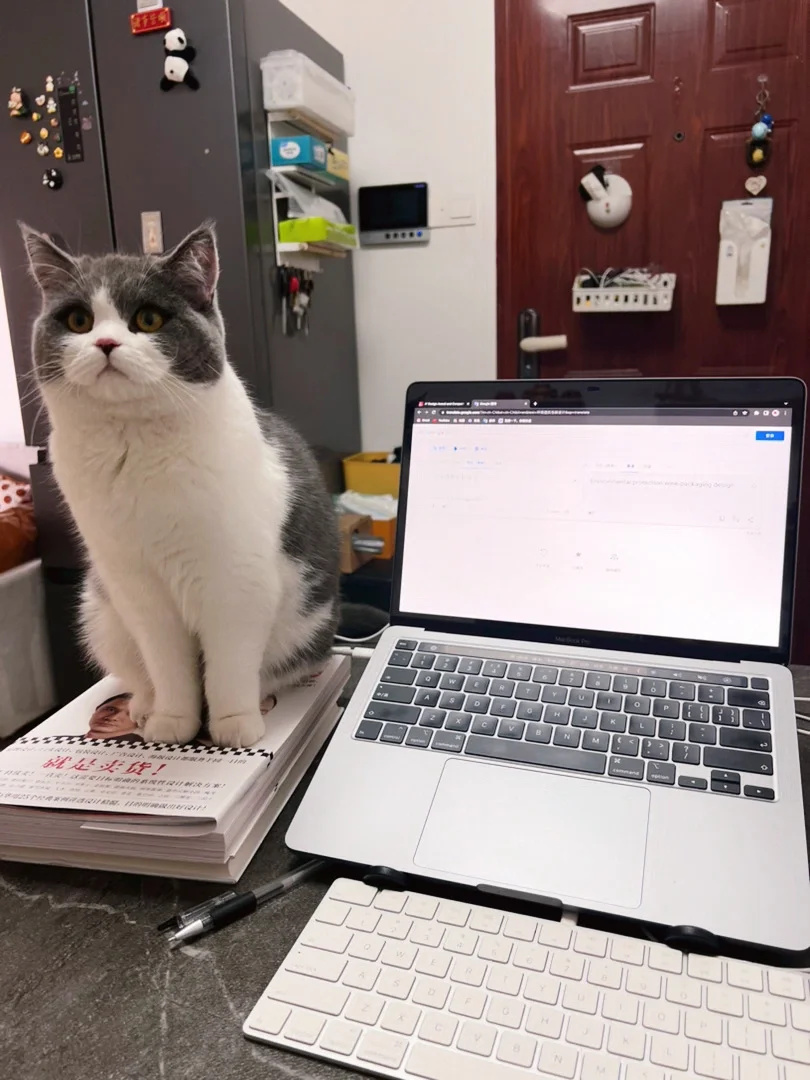 猫咪陪我在家上班的一天