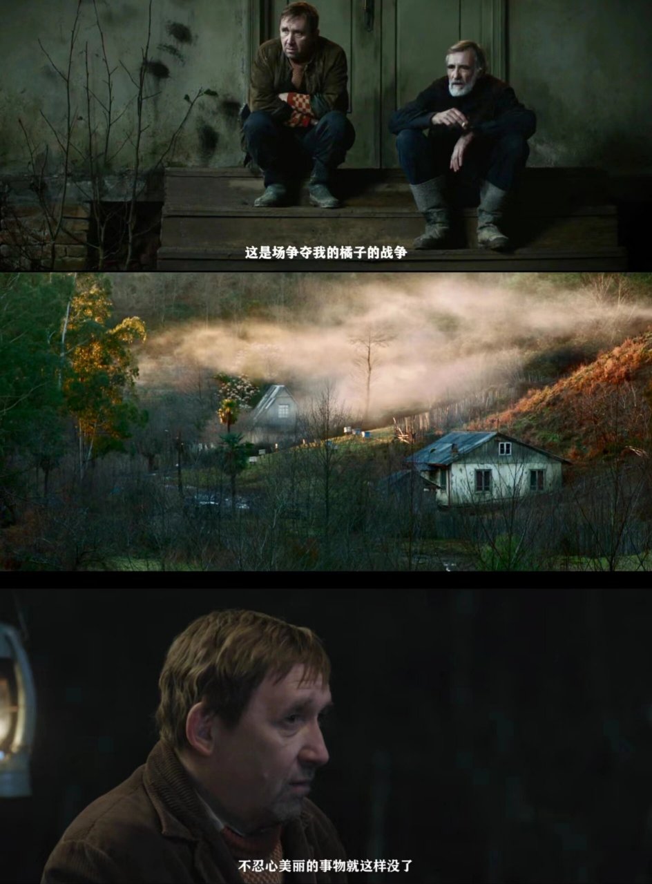 《金橘》90  今天我要给大家推荐一部绝对不容错过的电影——《金橘