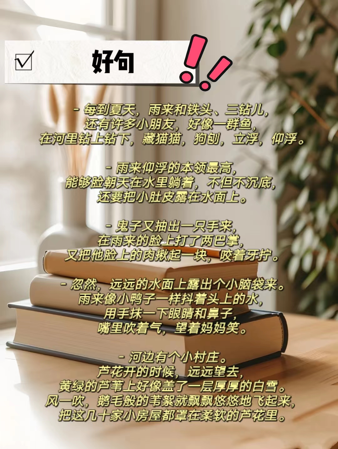 小英雄雨来好词好句摘抄
