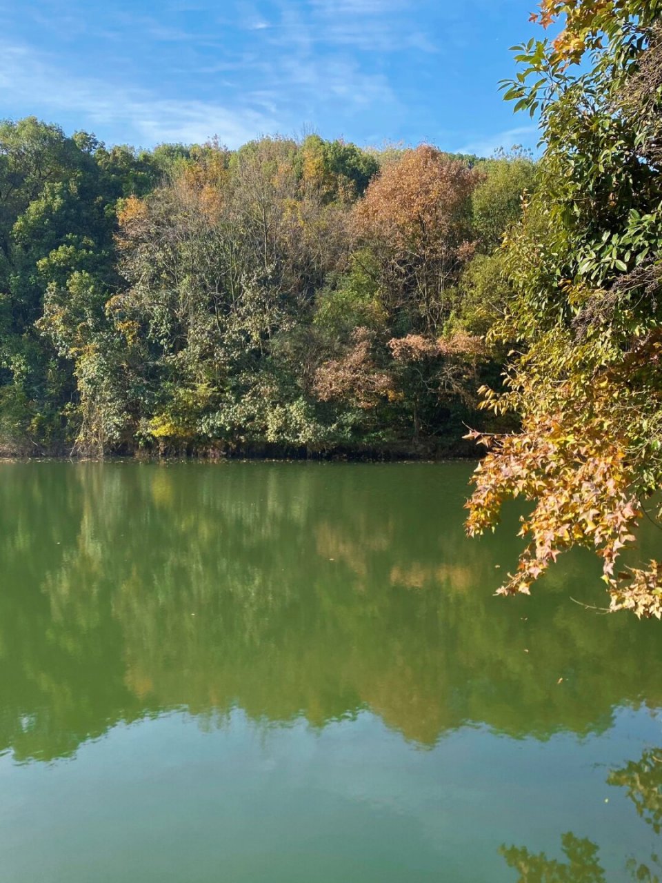 社恐人的天堂  🍂社恐人的乐园,大自然的怀抱🌳  目的地:龙山水库