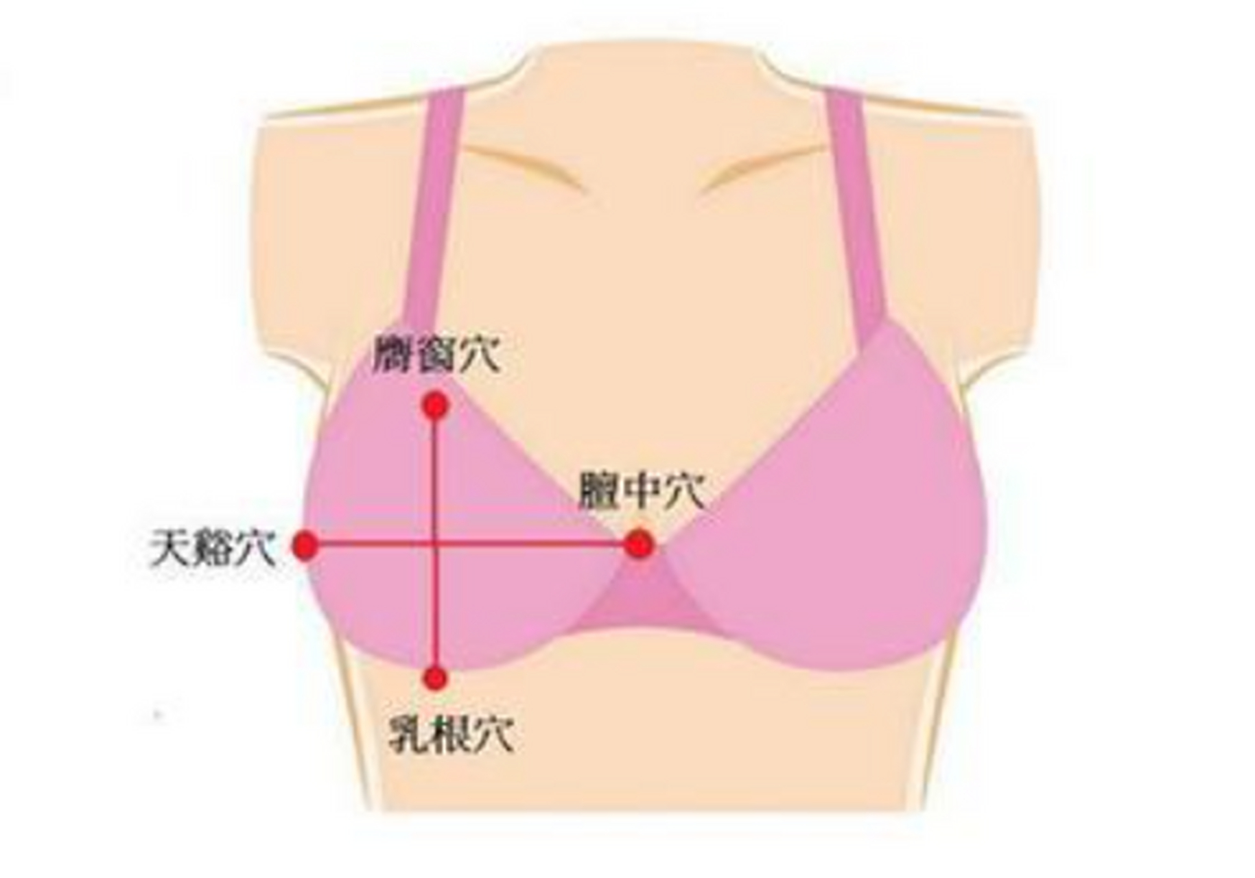 乳房九大经络位置图图片