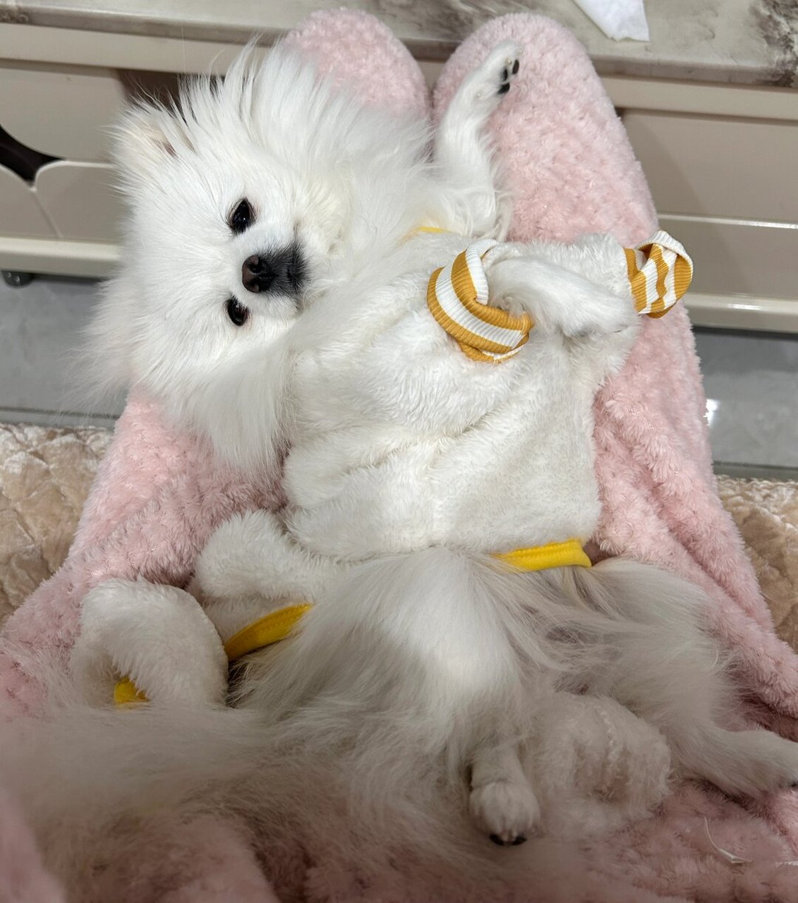 09  我家这位小祖宗98,睡觉的姿势也太奇葩了吧06!