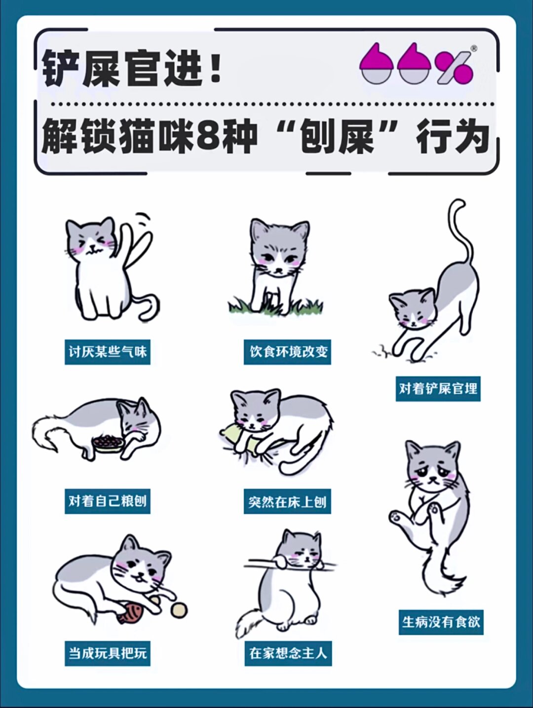 小偷猫图鉴图片