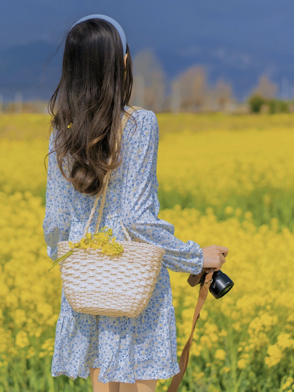 著名油画油菜花的女人图片