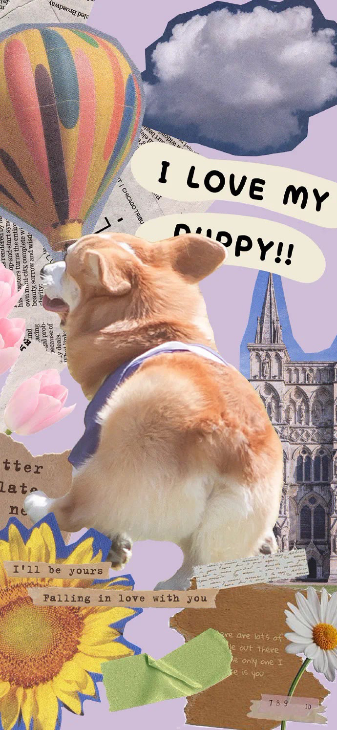 手机高清主题壁纸宠物大作战-猫狗日记