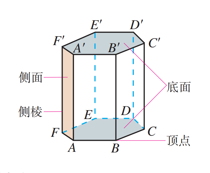 直三棱柱的特点有哪些?
