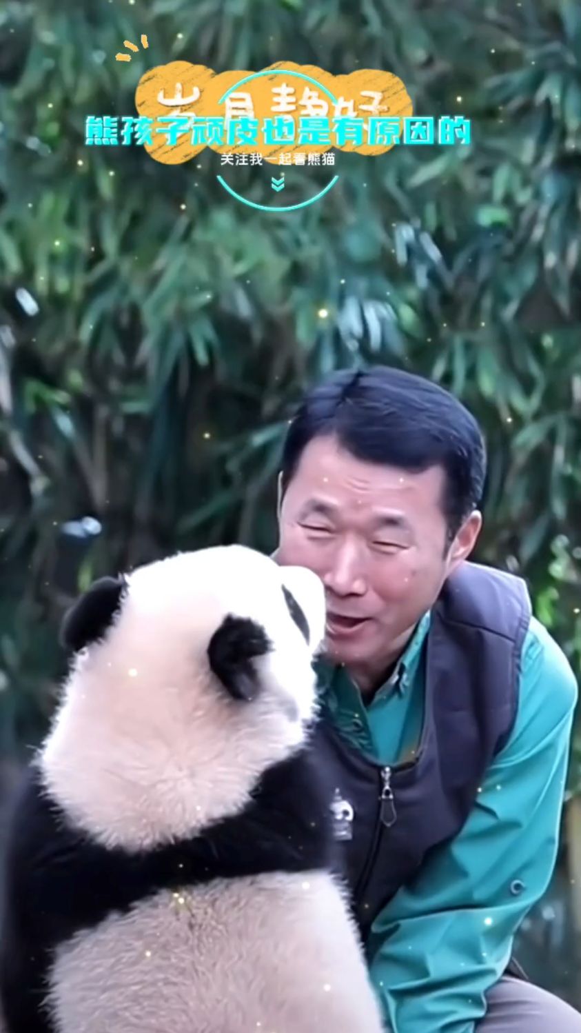 爷爷就是这样把熊孩子教的人里人气,福宝睿宝辉宝都又顽皮又机灵