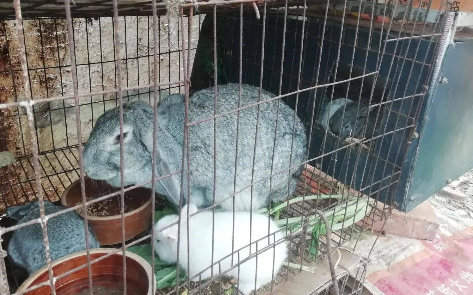 跌落神坛的10大天价商品,你买过几种?