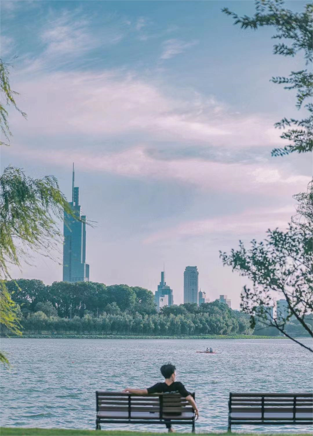 都说南京人好景美,旅游才发现,南京人民的生活和想象中差别太大