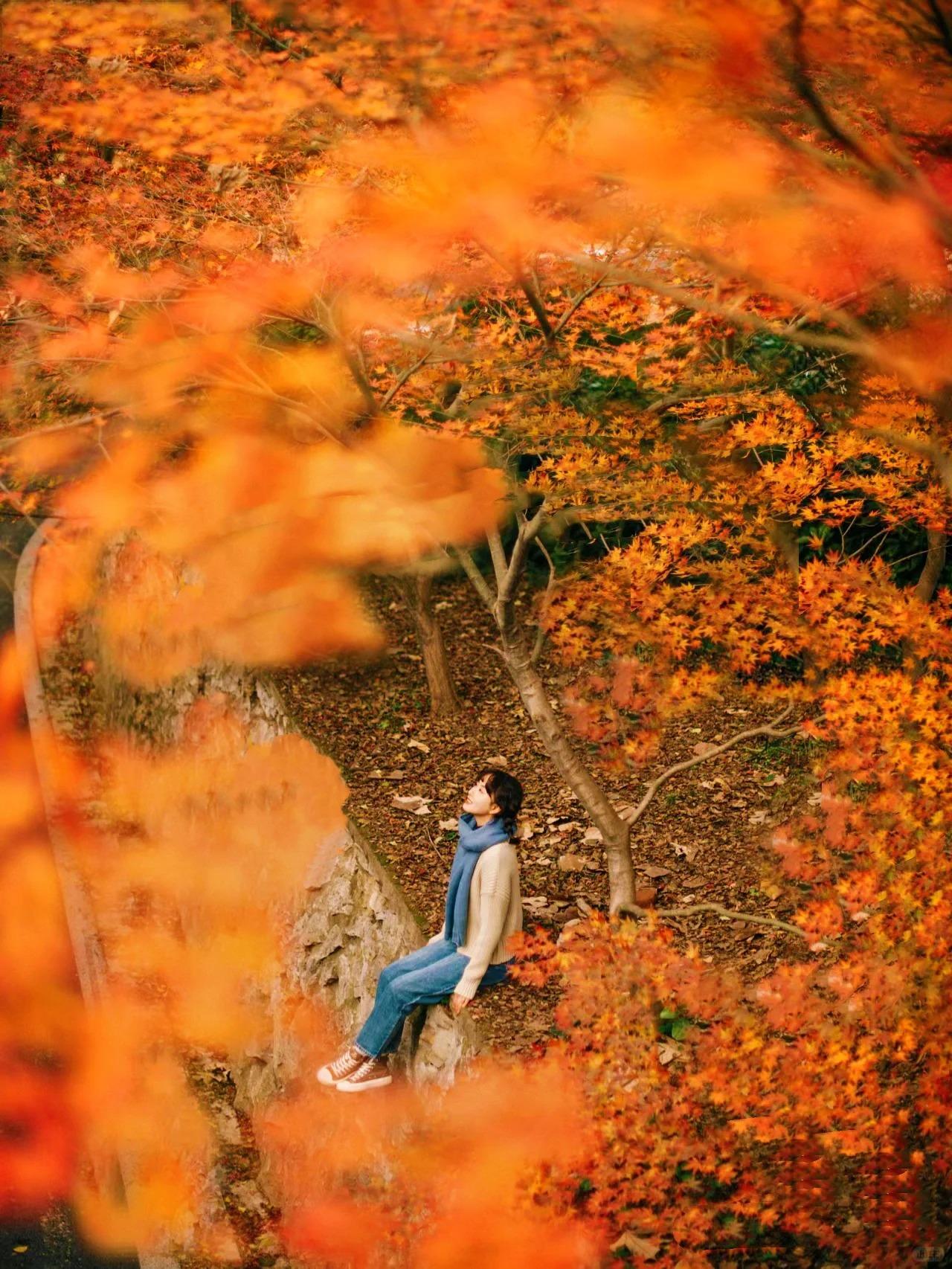 都说南京人好景美旅游才发现南京人民的生活和想象中差别太大